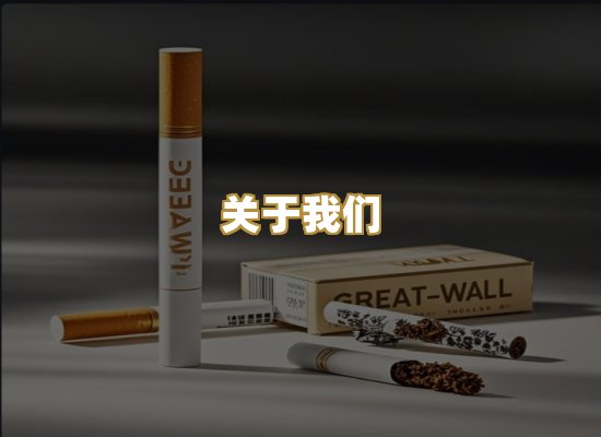 关于我们